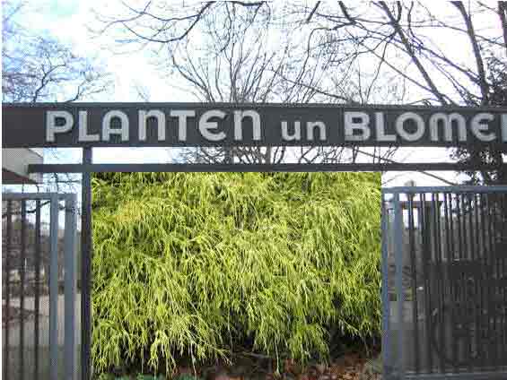 Uploaded Image: planten2.jpg