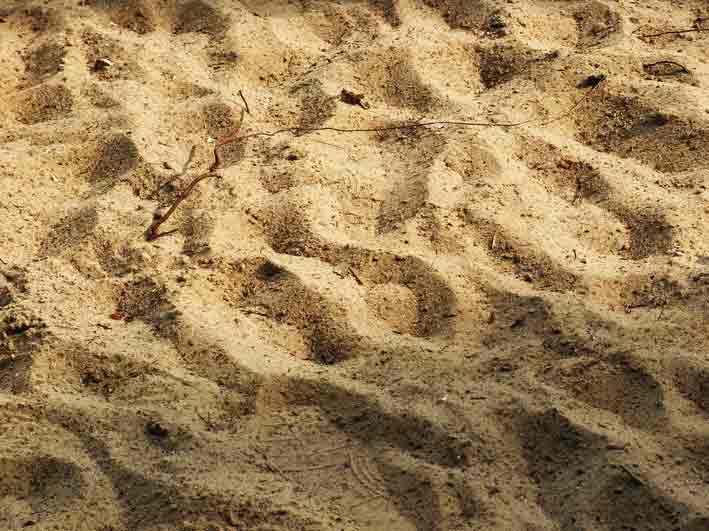 Uploaded Image: sand.jpg